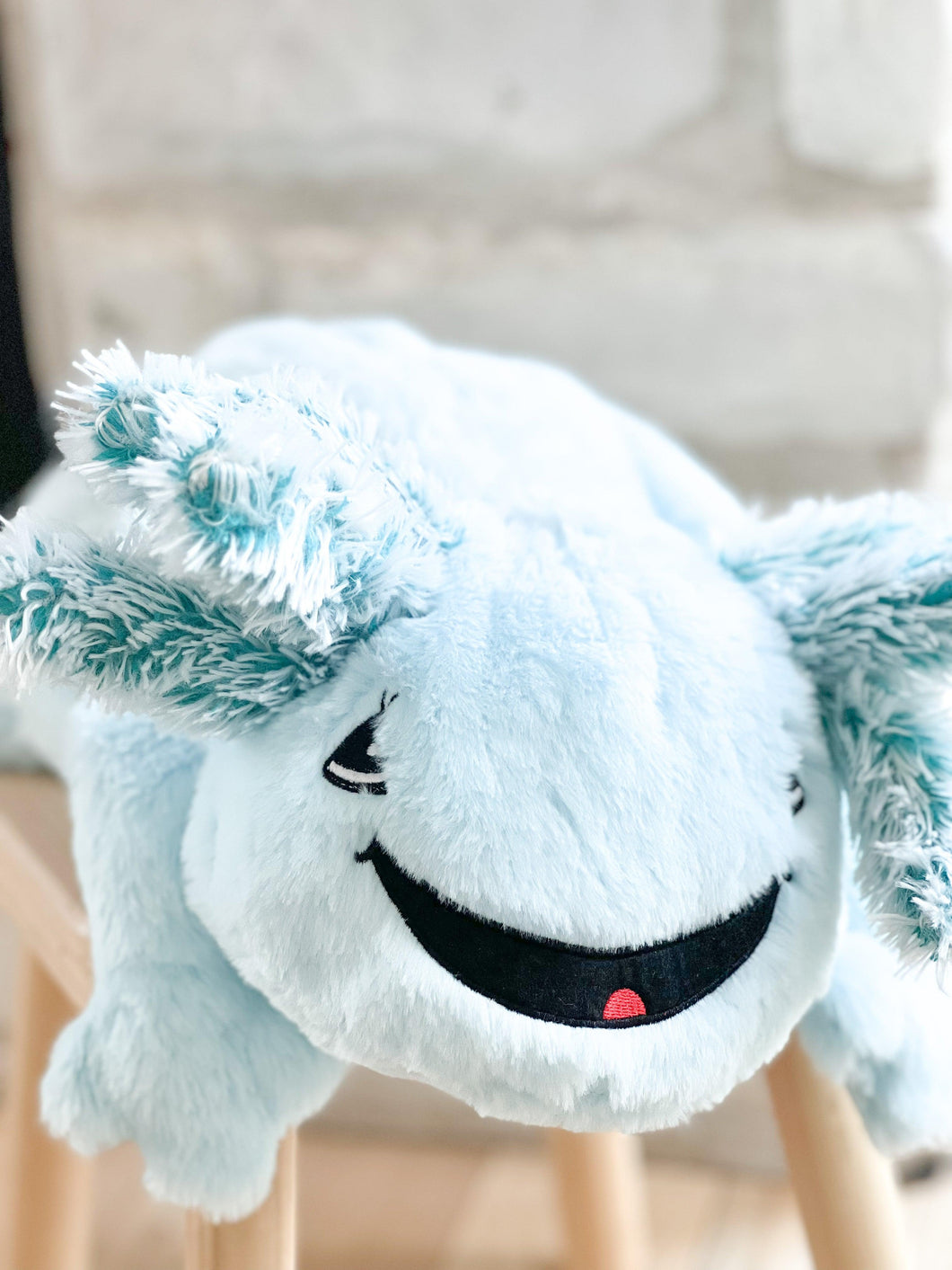 Axoli l'axolotl peluche lourde et sensorielle